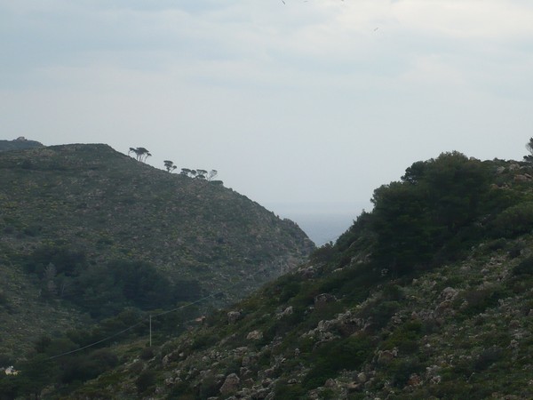 Capraia Wild Trail (06/04/2014) 052