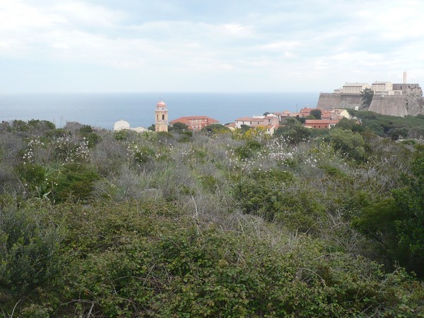 Capraia Wild Trail (06/04/2014) 057