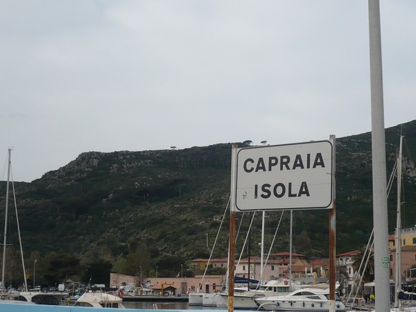 Capraia Wild Trail (06/04/2014) 063