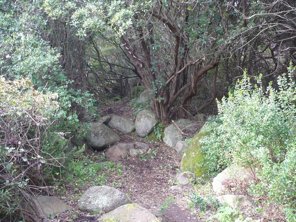 Capraia Wild Trail (06/04/2014) 064