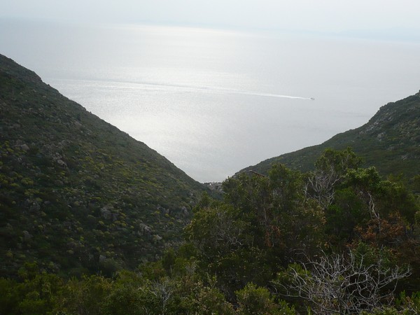Capraia Wild Trail (06/04/2014) 068
