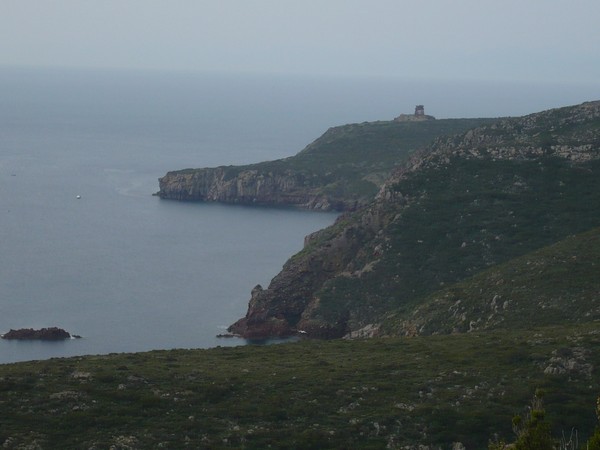 Capraia Wild Trail (06/04/2014) 071
