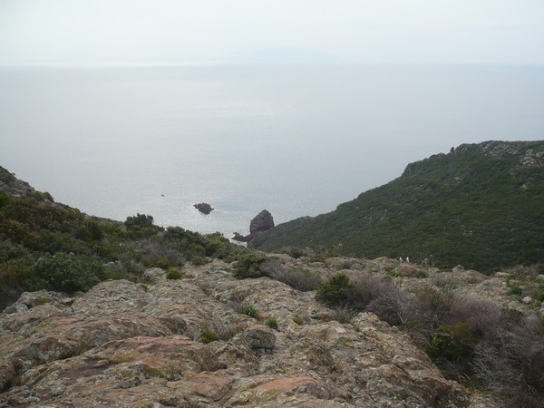 Capraia Wild Trail (06/04/2014) 072