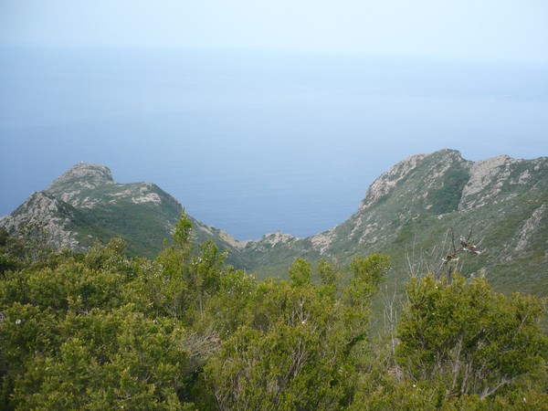 Capraia Wild Trail (06/04/2014) 077