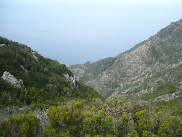 Capraia Wild Trail (06/04/2014) 079