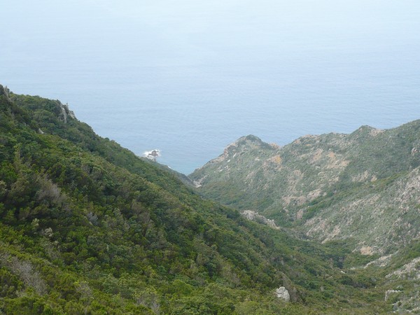 Capraia Wild Trail (06/04/2014) 081