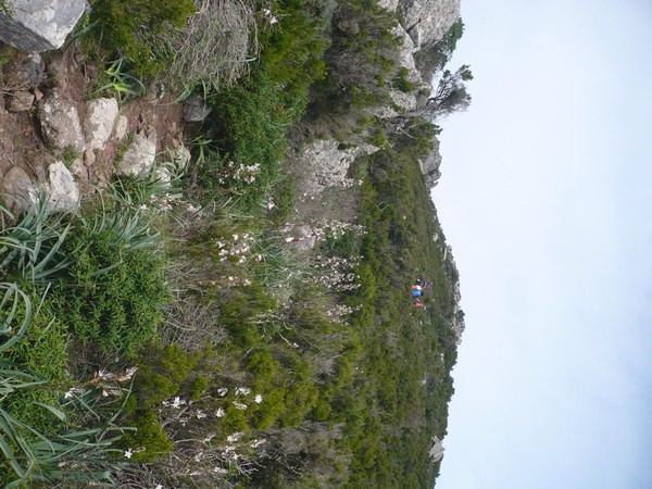 Capraia Wild Trail (06/04/2014) 084