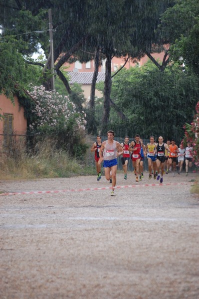 Solstizio d'estate (18/06/2014) 00001