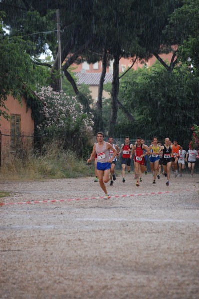 Solstizio d'estate (18/06/2014) 00002
