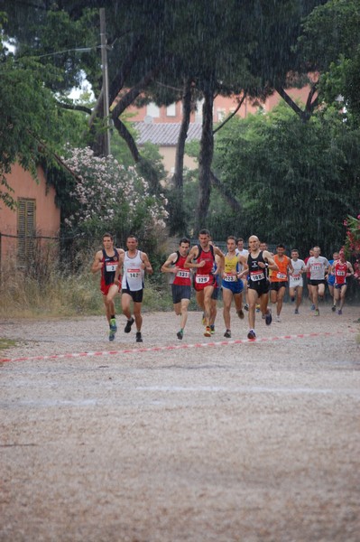 Solstizio d'estate (18/06/2014) 00003