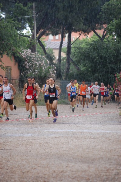 Solstizio d'estate (18/06/2014) 00005