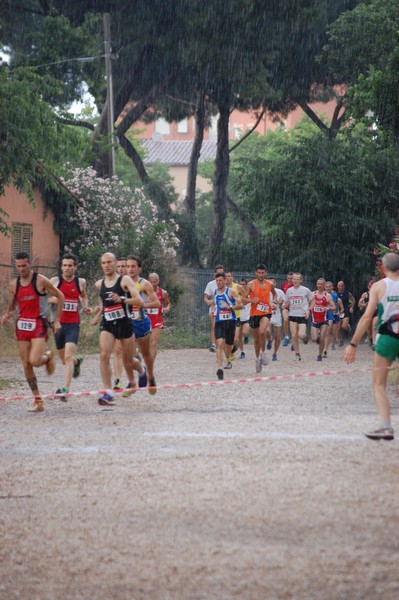 Solstizio d'estate (18/06/2014) 00006