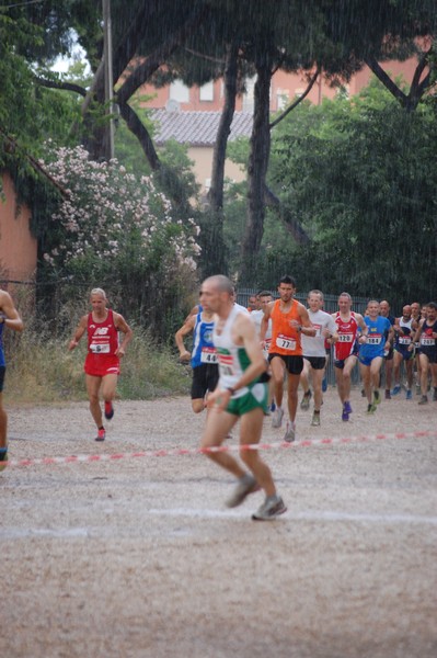 Solstizio d'estate (18/06/2014) 00007