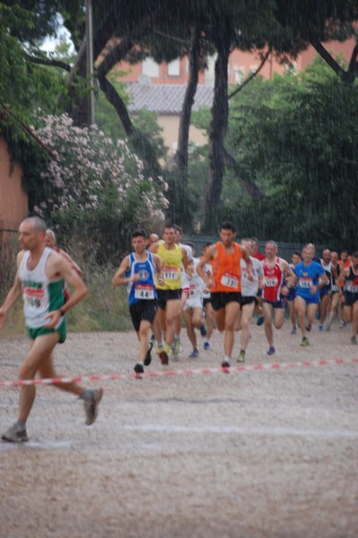 Solstizio d'estate (18/06/2014) 00008
