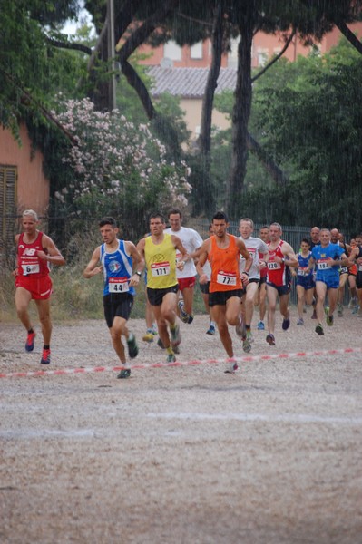 Solstizio d'estate (18/06/2014) 00009