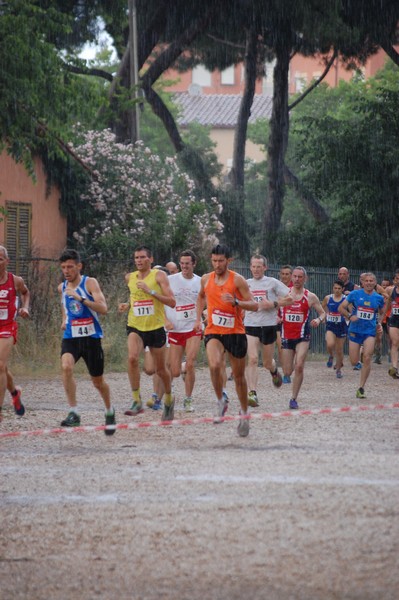 Solstizio d'estate (18/06/2014) 00010
