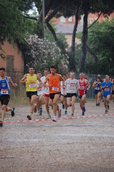 Solstizio d'estate (18/06/2014) 00011