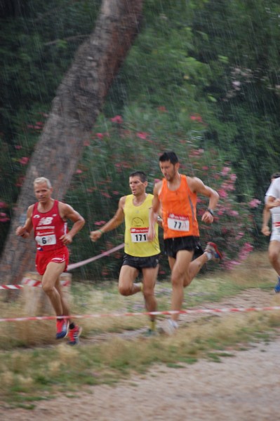 Solstizio d'estate (18/06/2014) 00014