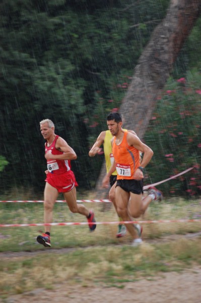 Solstizio d'estate (18/06/2014) 00015