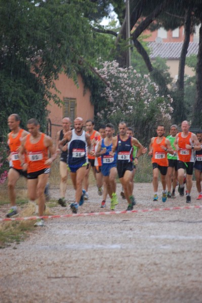 Solstizio d'estate (18/06/2014) 00017