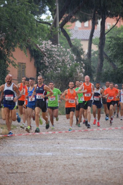 Solstizio d'estate (18/06/2014) 00018