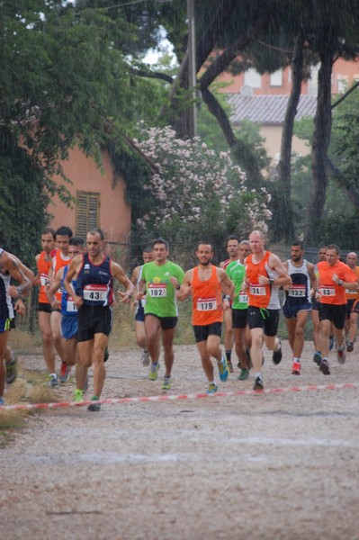 Solstizio d'estate (18/06/2014) 00019