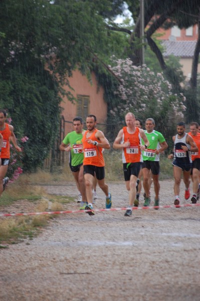Solstizio d'estate (18/06/2014) 00021