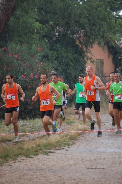 Solstizio d'estate (18/06/2014) 00023