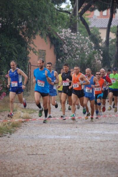 Solstizio d'estate (18/06/2014) 00026