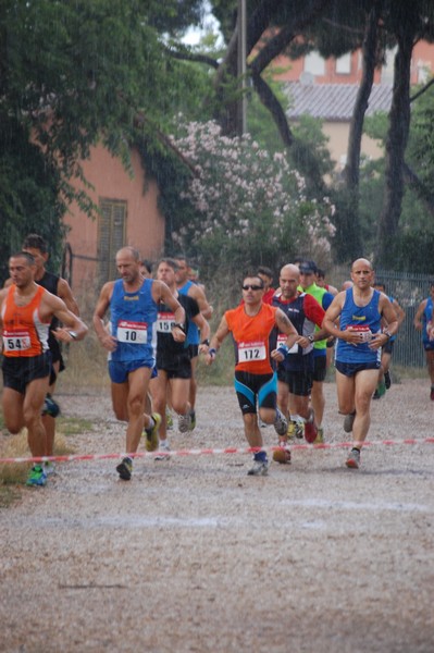 Solstizio d'estate (18/06/2014) 00028