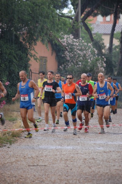 Solstizio d'estate (18/06/2014) 00029
