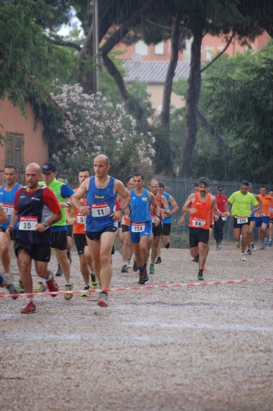Solstizio d'estate (18/06/2014) 00031
