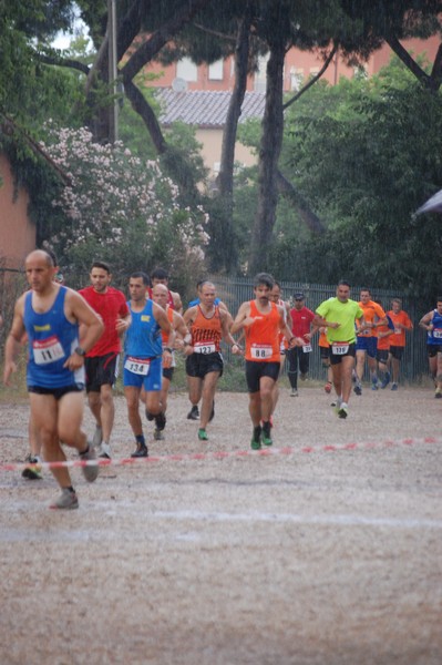 Solstizio d'estate (18/06/2014) 00032