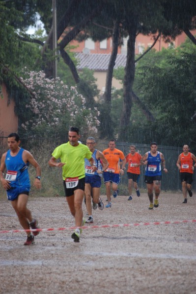 Solstizio d'estate (18/06/2014) 00037