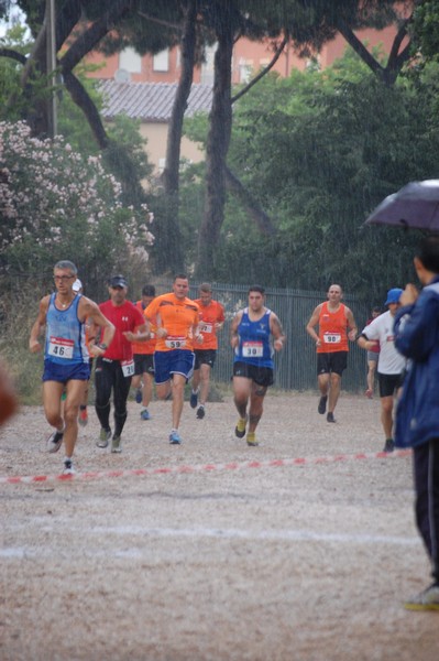 Solstizio d'estate (18/06/2014) 00038