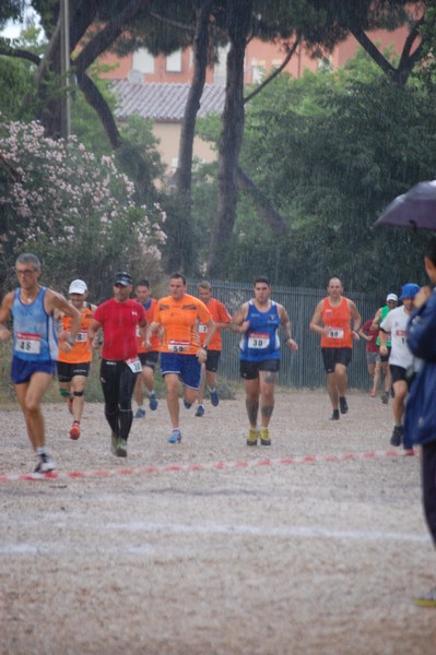 Solstizio d'estate (18/06/2014) 00039