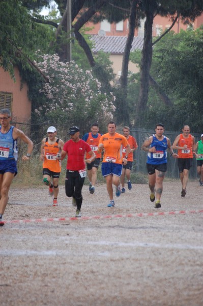 Solstizio d'estate (18/06/2014) 00041