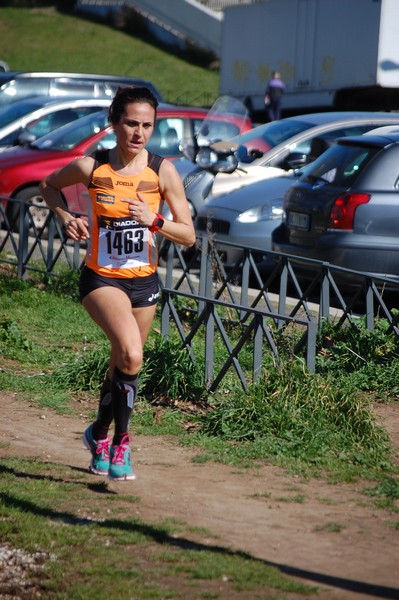 Corri per il Parco Alessandrino (08/03/2015) 00029