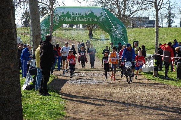 Corri per il Parco Alessandrino (08/03/2015) 00005