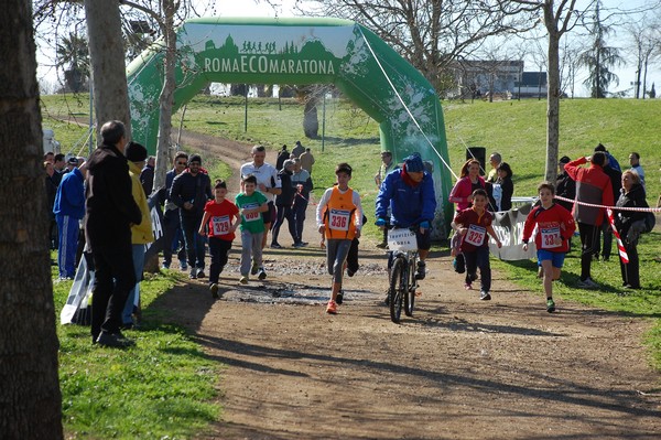 Corri per il Parco Alessandrino (08/03/2015) 00008