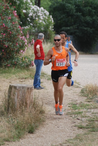 Solstizio d'estate ( C.E.)  (14/06/2015) 00001