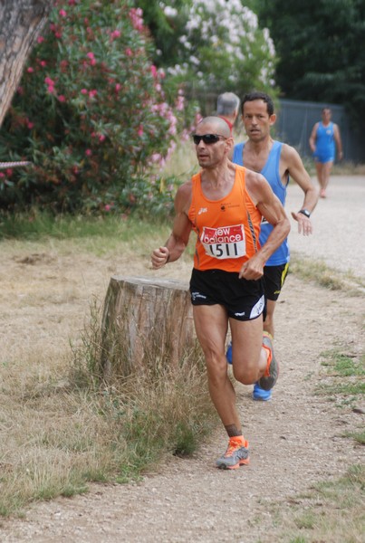 Solstizio d'estate ( C.E.)  (14/06/2015) 00002