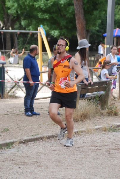 Solstizio d'estate ( C.E.)  (14/06/2015) 00012