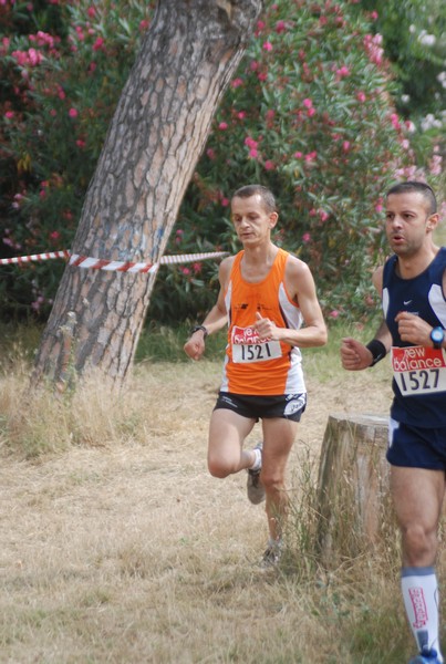 Solstizio d'estate ( C.E.)  (14/06/2015) 00018