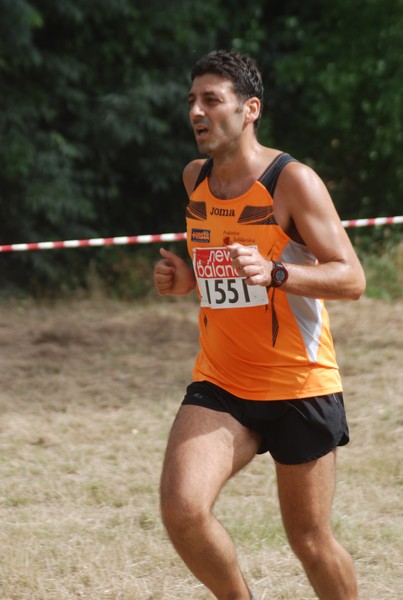 Solstizio d'estate ( C.E.)  (14/06/2015) 00025