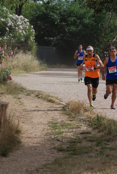 Solstizio d'estate ( C.E.)  (14/06/2015) 00029
