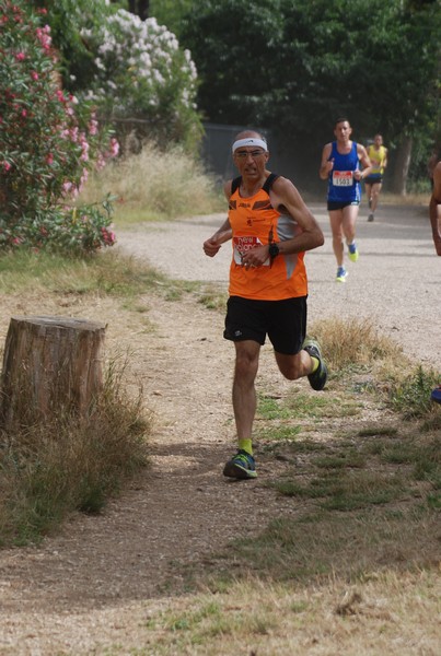 Solstizio d'estate ( C.E.)  (14/06/2015) 00031