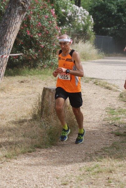 Solstizio d'estate ( C.E.)  (14/06/2015) 00032
