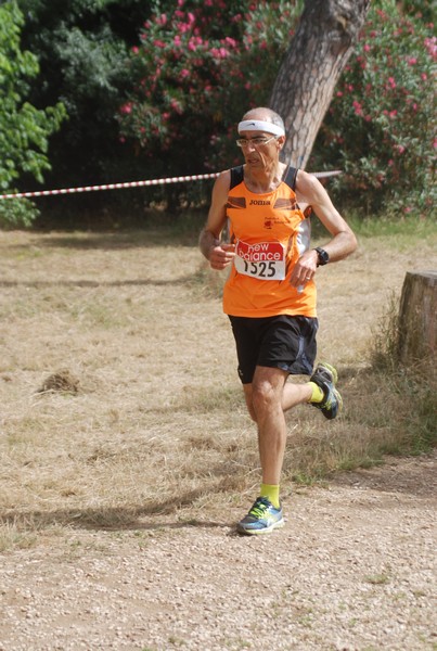 Solstizio d'estate ( C.E.)  (14/06/2015) 00033