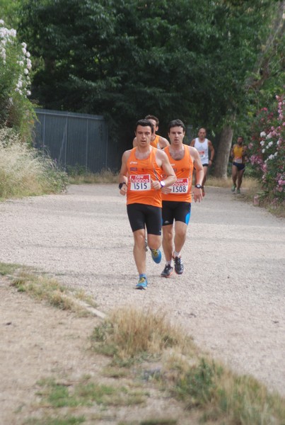 Solstizio d'estate ( C.E.)  (14/06/2015) 00034